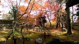 日本庭園は繊細で美しく、ぜったい見逃せない