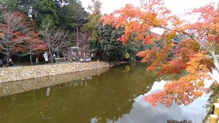 小倉池沿いにある普通の小さな神社