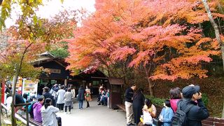 渓谷の絶景が超おすすめ