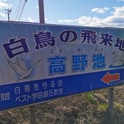 白鳥飛来地　高野池 