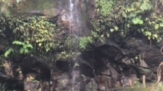 滝と緑に癒されます