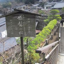 樹齢二百余年を誇ります