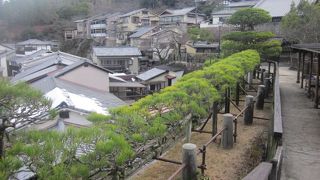 美しく横長に植栽された姿に感動しました