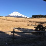 富士山がきれいです