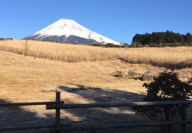 陸上自衛隊東富士演習場