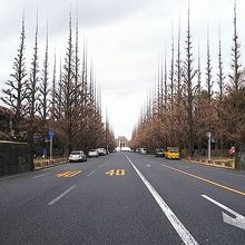 交差点を渡りながらパチリ！