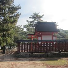 清盛神社の脇に松原が続きます