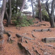 桟橋からは僅か5分の距離なんですけどね…。