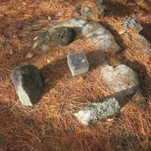 三角点ハンターの方にもお勧めです( ´∀｀ )。