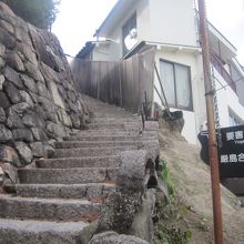 桟橋側からはこの石段を登ってアクセスします