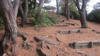 宮島桟橋のすぐ傍とは思えない程の静寂の風情でした