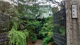 靖国通りの南側に面している普通の神社という感じ