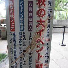 イベント案内