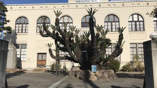 意外に知らない事が多いことを実感