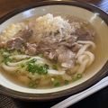 宮崎のうどん