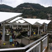 水族館で釣り体験