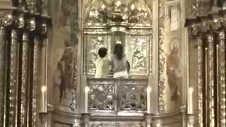 早朝がおすすめ