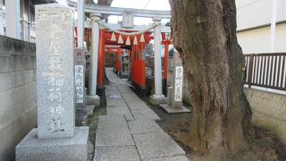 18本の鳥居が立っています