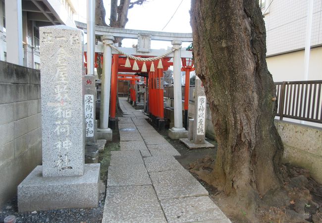 18本の鳥居が立っています