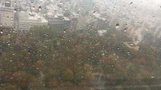 広い緑豊かな公園