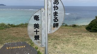 一望のサンゴ礁の海！