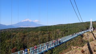 眺めは良いが揺れます