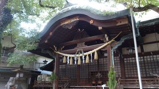 庶民的な雰囲気が良いです