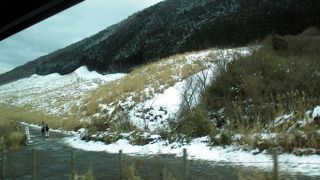 ススキ草原は台風被害の名残がありました。