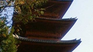 幕末以前からの建築らしく随所に年季の入った雰囲気です