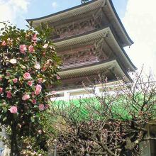 花に囲まれた場所に建ってます