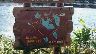 安心して歩ける高架木道ができていました。