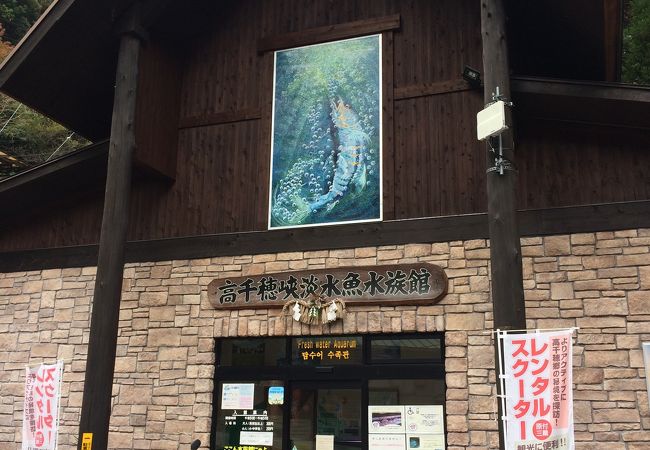 高千穂峡淡水魚水族館 クチコミ アクセス 営業時間 高千穂 五ヶ瀬 フォートラベル