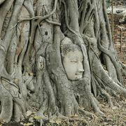 アユタヤ遺跡群でも最も有名な場所