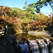 紅葉シーズンはシャトルバスがオススメ