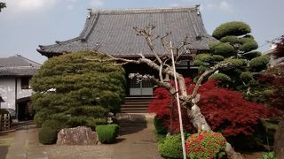 ツツジの花が咲いていて建物とよく調和していました。