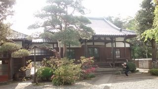 境内にあるツツジが花を咲かせていて、たいへんきれい