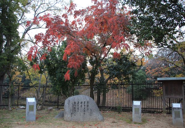 仁徳天皇陵古墳を歩いて巡った際見つけました