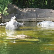 スカンセン風景