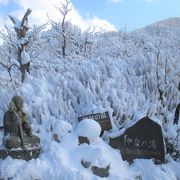 神泉の湯までです。