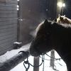 初心者でもトレッキング