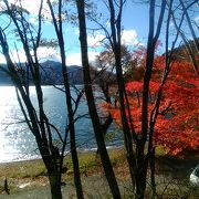 中禅寺湖周辺の紅葉が一番真っ盛りで、鮮やかな紅葉を観賞できました