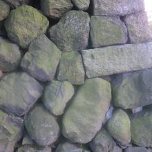 石垣の風情がやっぱり素晴らしい公園です！