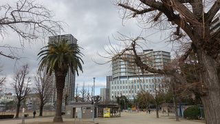 かなりの広さがあります