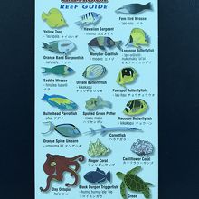 見られる生物の一覧