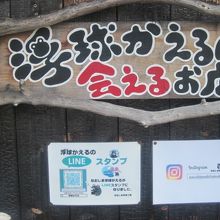 勿論、浮球かえるさんを売りにされていらっしゃいます！