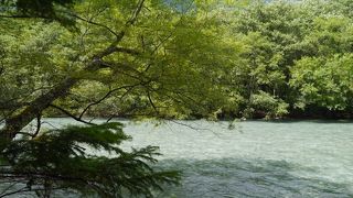 美しい自然に触れながら…