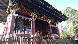 ラッキーなタイミングで観ることができました