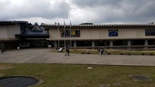 正倉院展が行われるところ