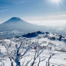 一番上のリフトから羊蹄山