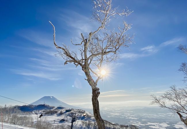 ゴンドラを降りたところから羊蹄山